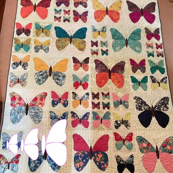 Pretty Butterfly Templates Set